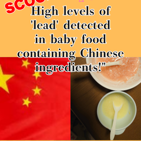 SAPIO (April 2008): High Levels of Lead Detected in Baby Food Containing Chinese Ingredients (English PDF)